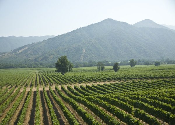 Santiago & the Central Valley - Image 1